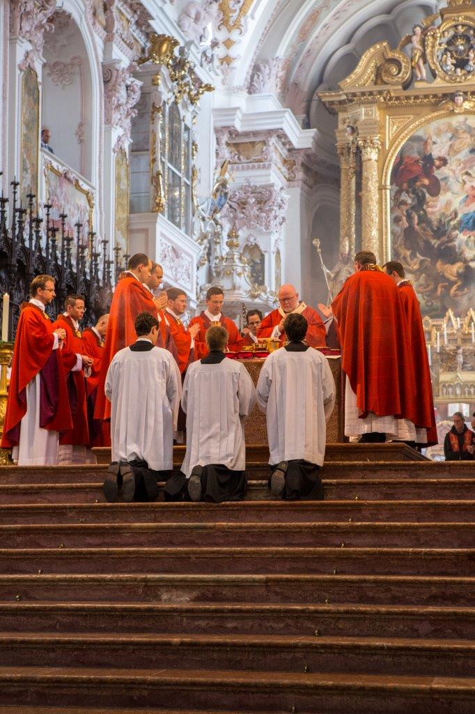 Priesterweihe Rohan Lobo - Foto Kiderle (31)