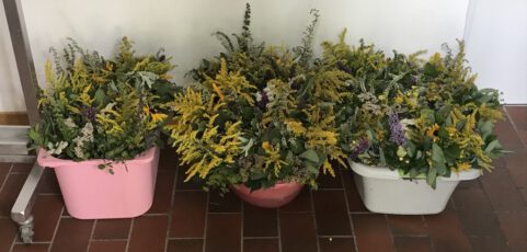 Kräuterbuschen und Blumen zu Mariä Himmelfahrt bringen vielfach Segen
