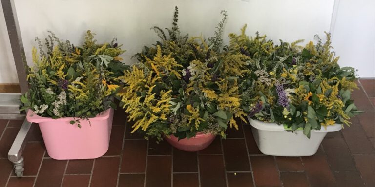 Kräuterbuschen und Blumen zu Mariä Himmelfahrt bringen vielfach Segen