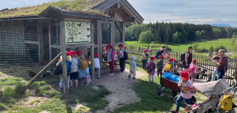 Großer Tagesausflug mit dem Doppeldeckerbus zum BergTierPark Blindham