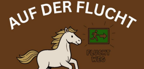 Kinderbibelnacht „Auf der Flucht“