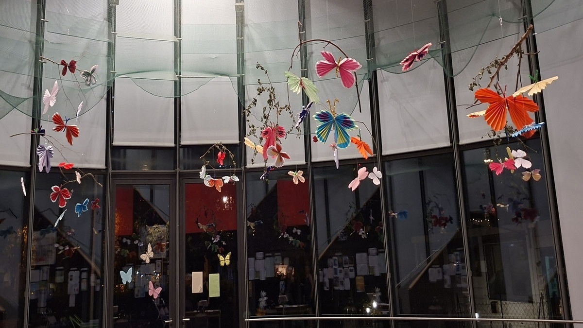 Schmetterlinge in St. Thomas