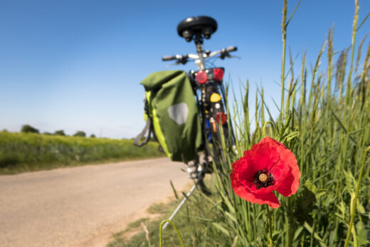 to-go-biking-5178398_by_Didgeman_pixabay_pbs